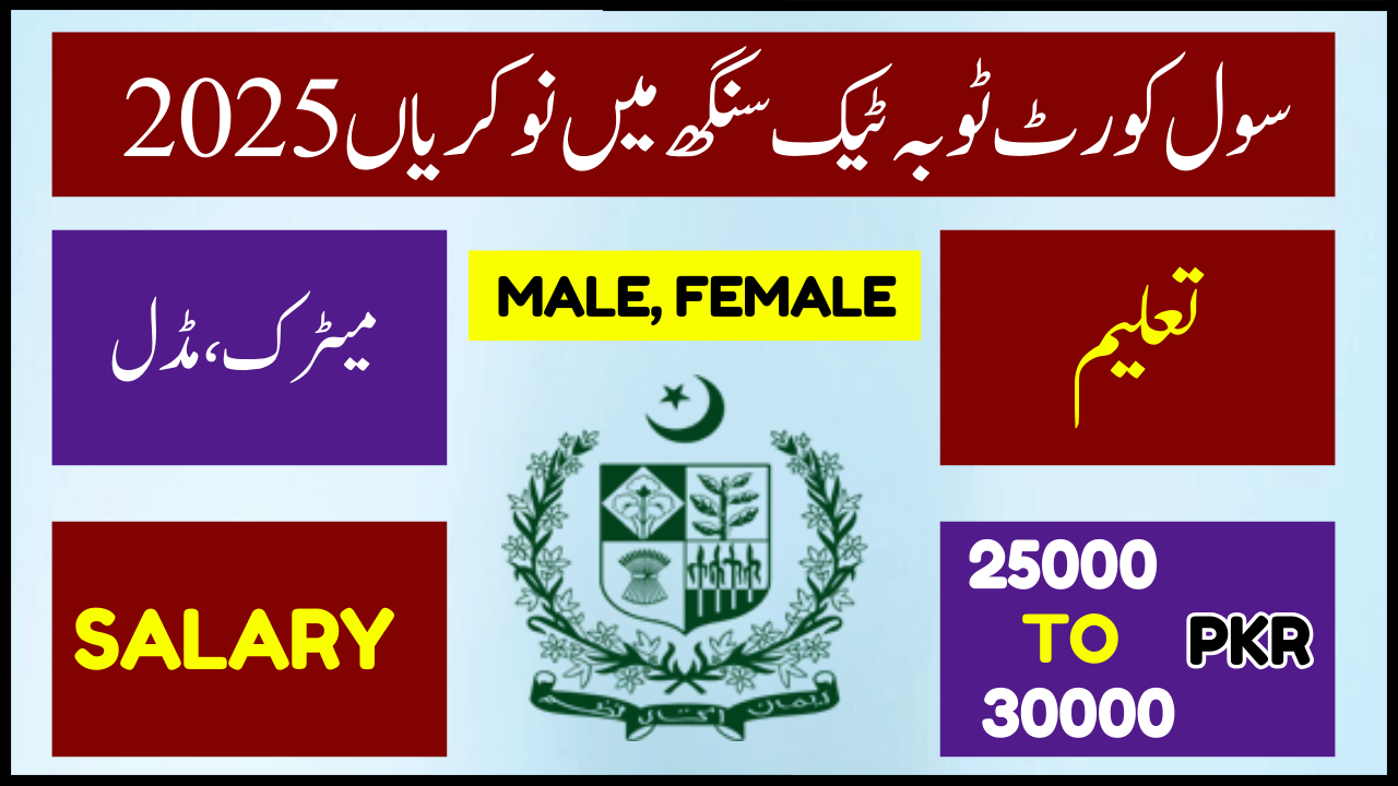 Latest Civil Court Toba Tek Singh Jobs 2025: Application Form