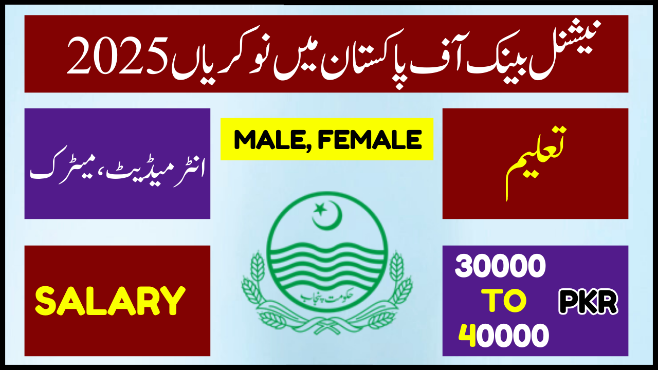 NBP Jobs Online Apply Last Date 2025 National Bank of Pakistan