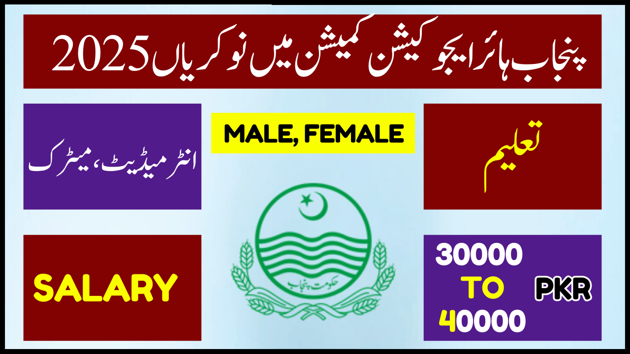 Punjab Higher Education Commission Jobs 2025